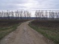 /album/pracovne-stretnutie-v-terene/p1010265-jpg/